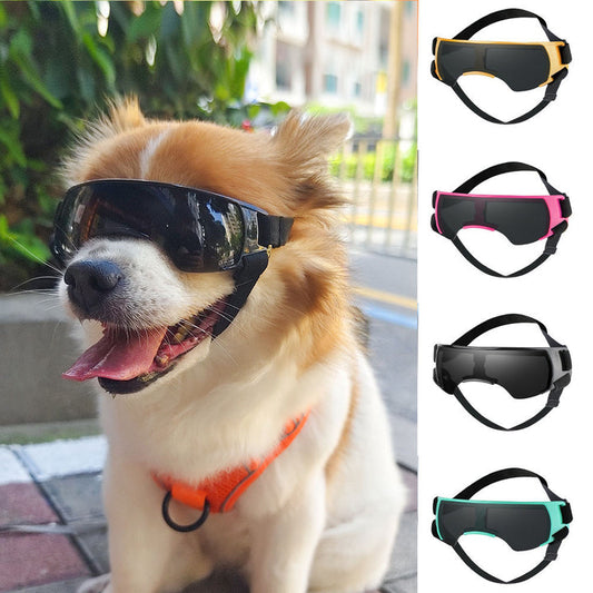 Dog Goggles – UV Protection for Outdoor Adventures